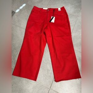 Brand New Judy Blue Jean